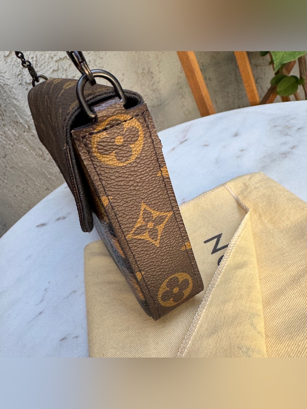 Louis Vuitton Wild Animal Pochette Felicie Crossbody - Picture 7 of 16